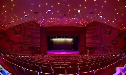 舞动2020 海外桃李杯国际舞蹈展演 报名进行中